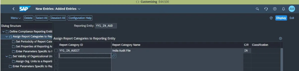 Figure 5 - Assigning the YY1_IN_AUDIT report category to the new India Audit reporting entity in customizing.